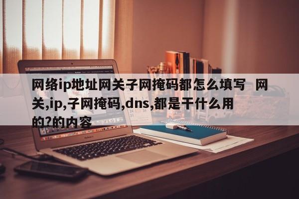 网络ip地址网关子网掩码都怎么填写  网关,ip,子网掩码,dns,都是干什么用的?的内容