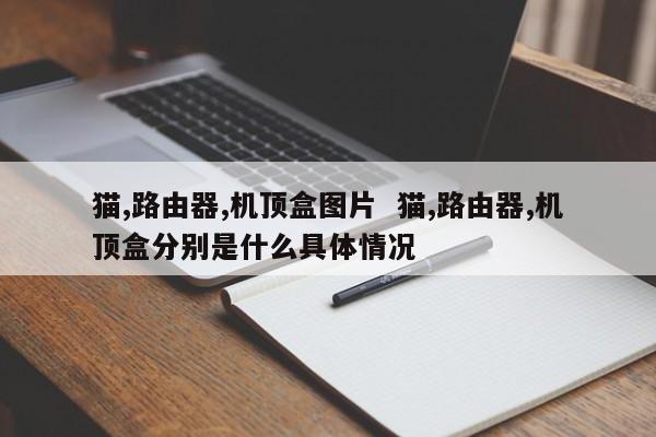 猫,路由器,机顶盒图片  猫,路由器,机顶盒分别是什么具体情况